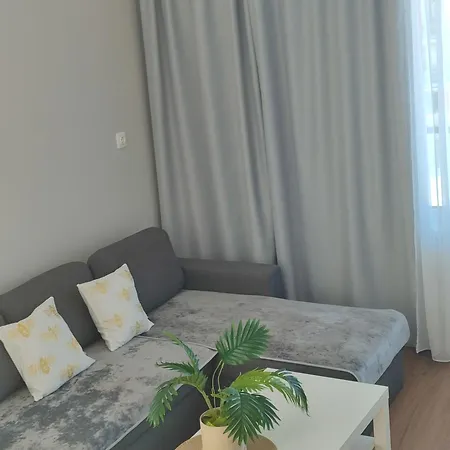 Sv Self Check In Free Parking *