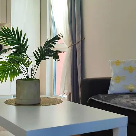 Sv Self Check In Free Parking Apartment *