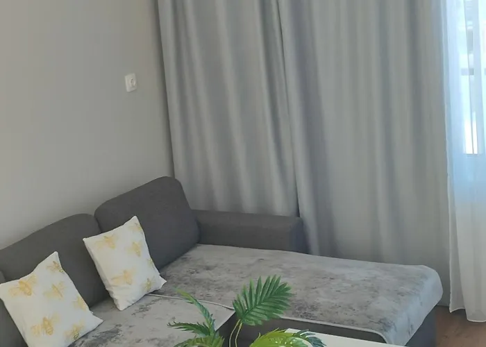 Sv Self Check In Free Parking *